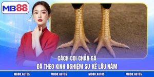 Cách Coi Chân Gà Đá Theo Kinh Nghiệm Sư Kê Lâu Năm 